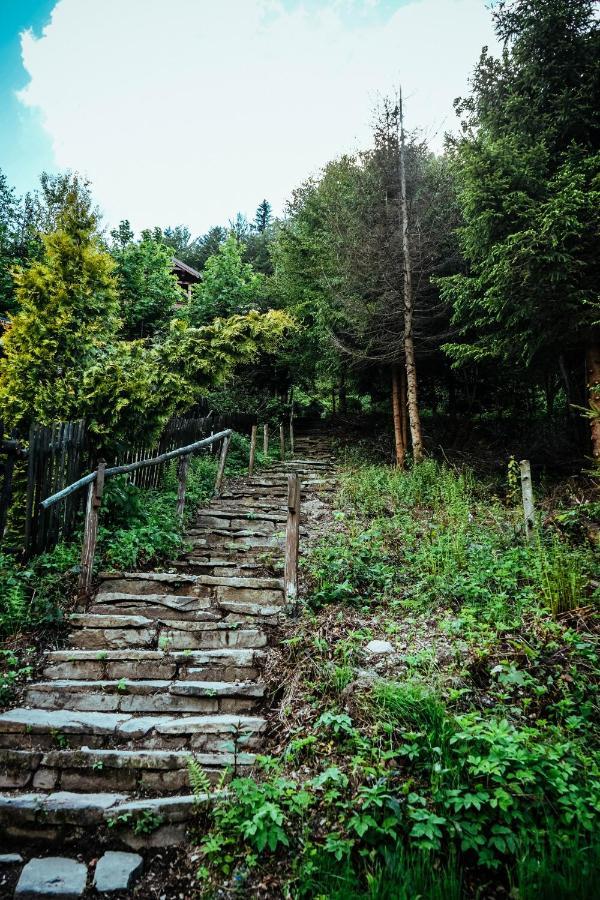 Chill On Hill - Prázdninový dům Szczyrk